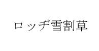 ロッヂ雪割草