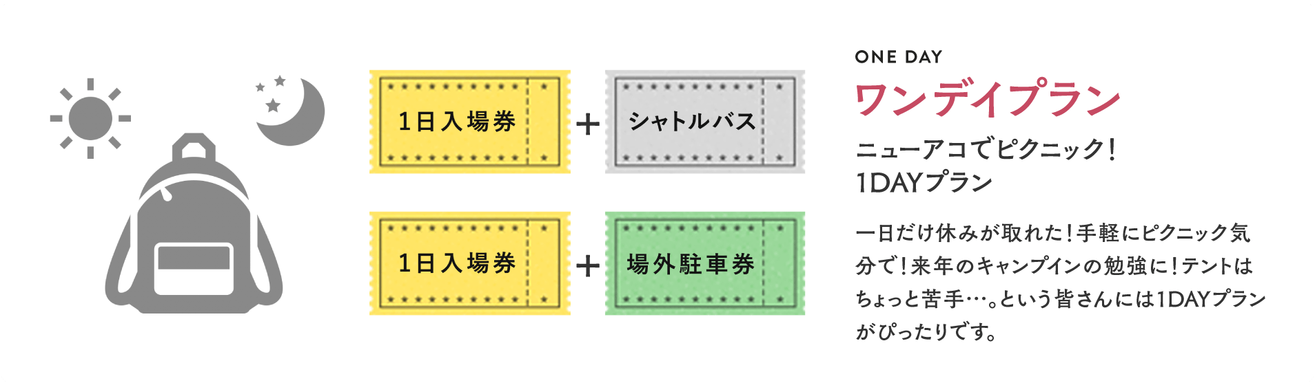 ワンデイプラン