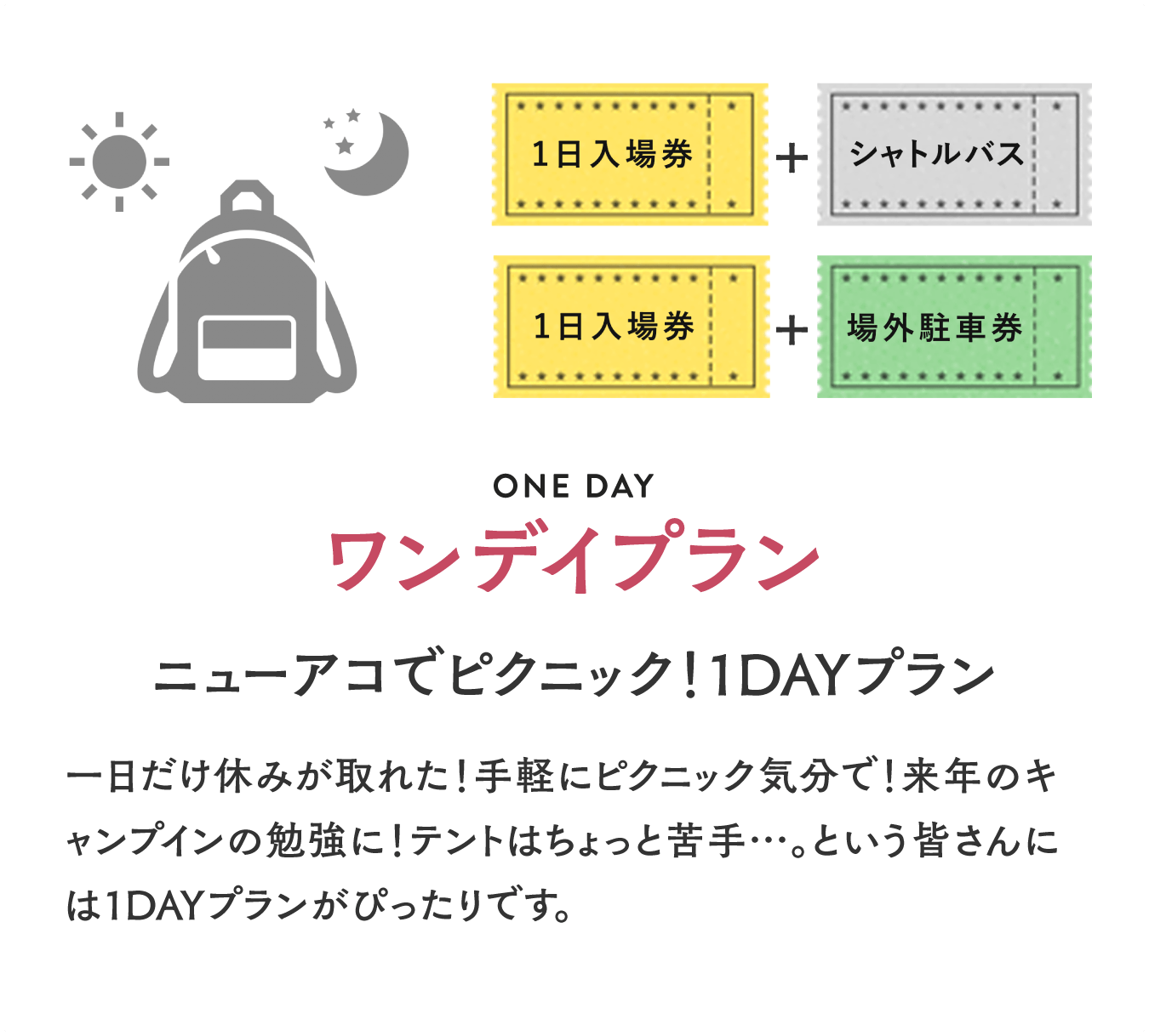 ワンデイプラン